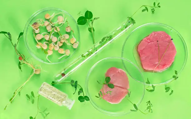 Future Meat
